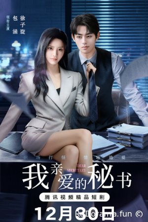 Дорогой секретарь серия 1 - 24